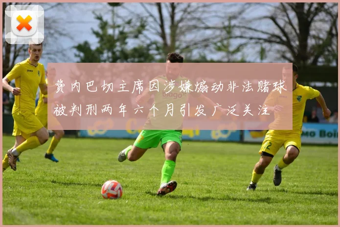 费内巴切主席因涉嫌煽动非法赌球被判刑两年六个月引发广泛关注