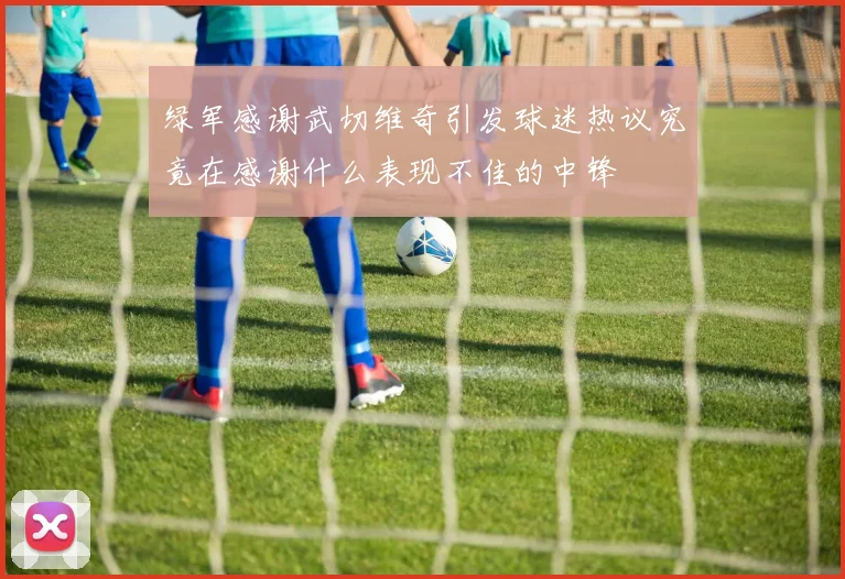 绿军感谢武切维奇引发球迷热议究竟在感谢什么表现不佳的中锋